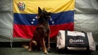 venezuela7 741805250 1492797019316217 1707356260825154324 n